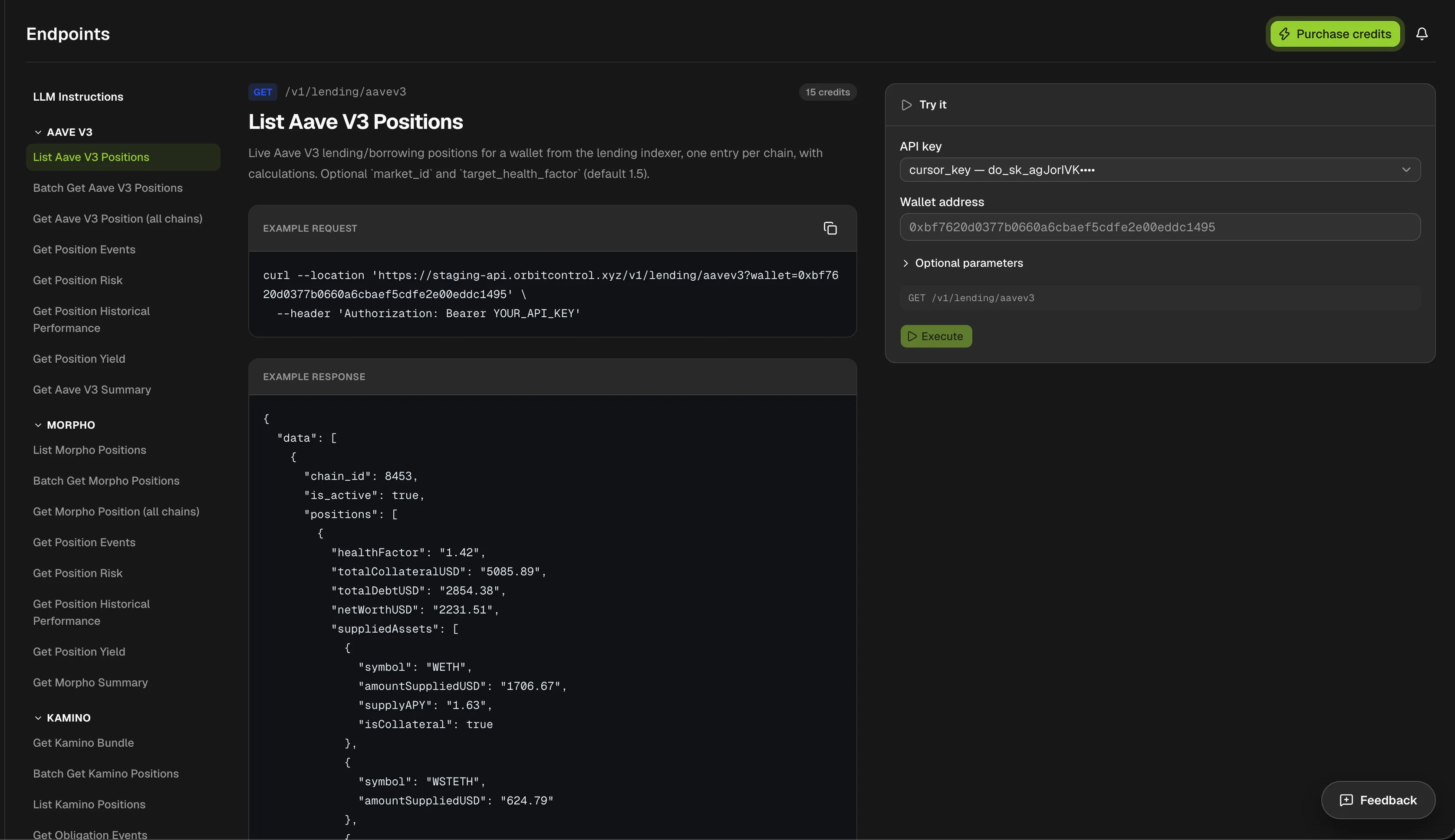 Endpoints explorer showing List Aave V3 Positions at 15 credits, with an example request, an example JSON response and a Try it panel